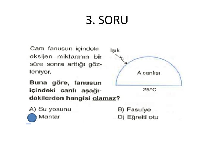 3. SORU 