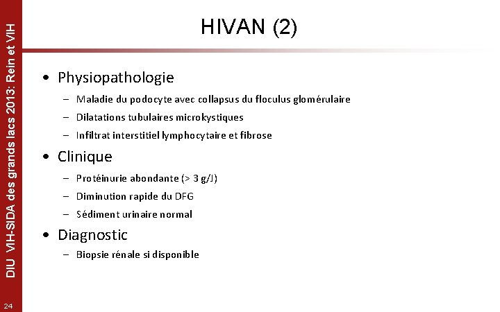 DIU VIH-SIDA des grands lacs 2013: Rein et VIH 24 HIVAN (2) • Physiopathologie