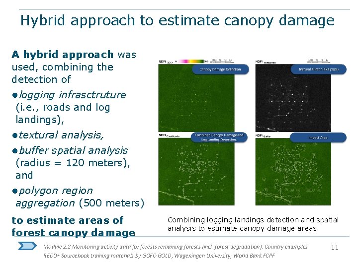 Hybrid approach to estimate canopy damage A hybrid approach was used, combining the detection