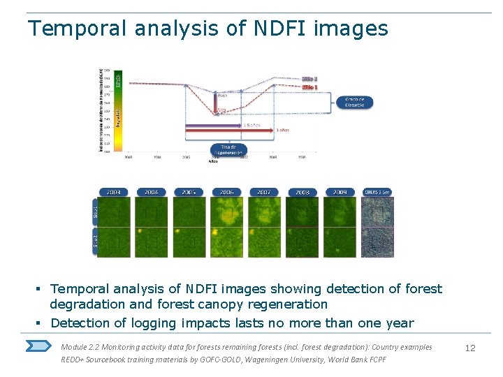 Temporal analysis of NDFI images § Temporal analysis of NDFI images showing detection of
