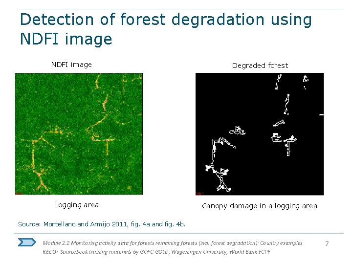 Detection of forest degradation using NDFI image Logging area Degraded forest Canopy damage in