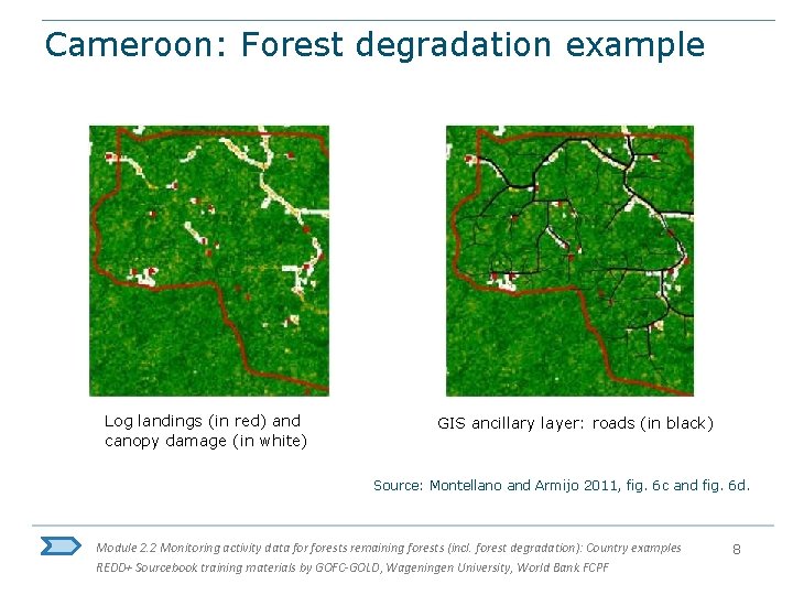 Cameroon: Forest degradation example Log landings (in red) and canopy damage (in white) GIS