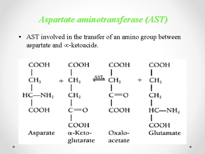 Aspartate aminotransferase (AST) • AST involved in the transfer of an amino group between