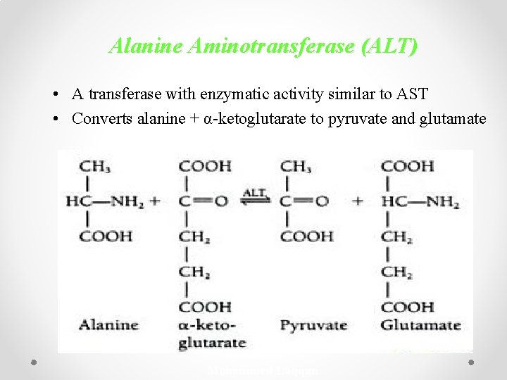 Alanine Aminotransferase (ALT) • A transferase with enzymatic activity similar to AST • Converts