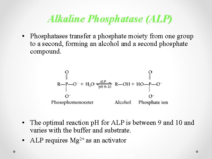 Alkaline Phosphatase (ALP) • Phosphatases transfer a phosphate moiety from one group to a