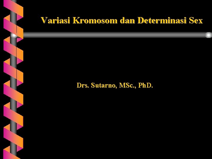 Variasi Kromosom dan Determinasi Sex Drs. Sutarno, MSc. , Ph. D. 