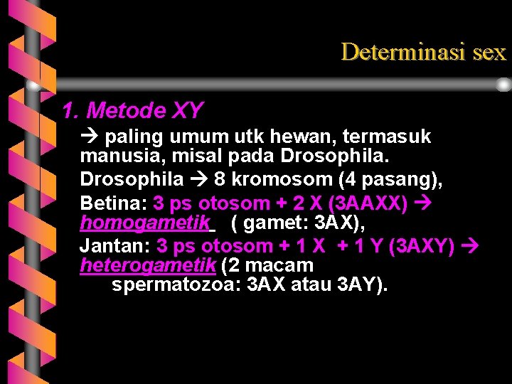 Determinasi sex 1. Metode XY paling umum utk hewan, termasuk manusia, misal pada Drosophila