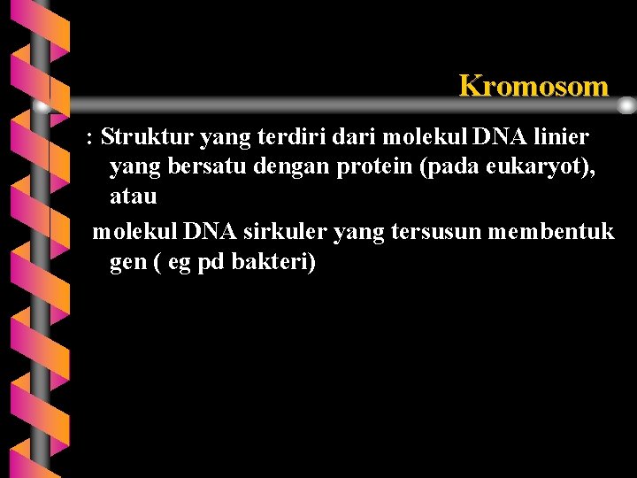 Kromosom : Struktur yang terdiri dari molekul DNA linier yang bersatu dengan protein (pada