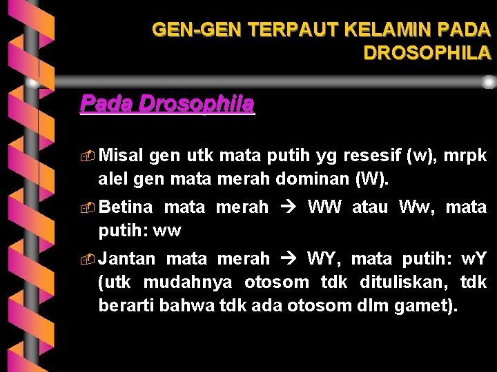 GEN-GEN TERPAUT KELAMIN PADA DROSOPHILA Pada Drosophila - Misal gen utk mata putih yg