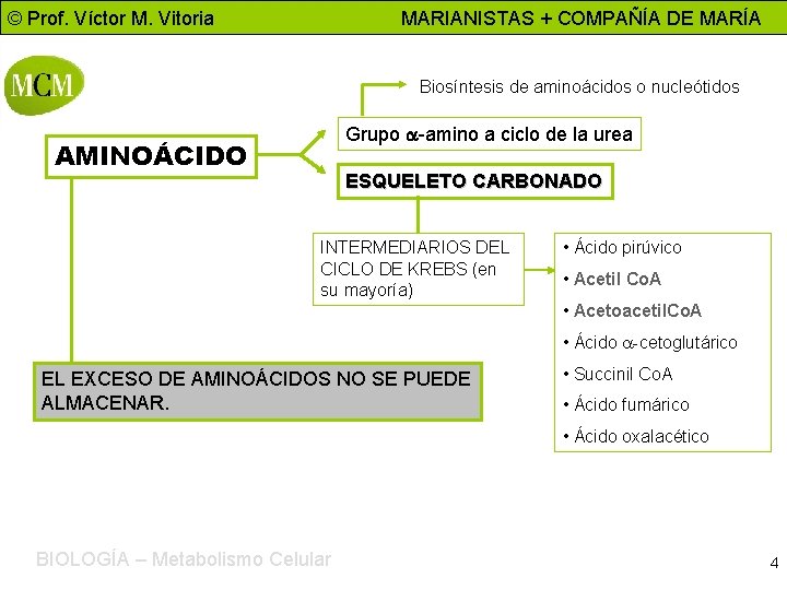 © Prof. Víctor M. Vitoria MARIANISTAS + COMPAÑÍA DE MARÍA Biosíntesis de aminoácidos o