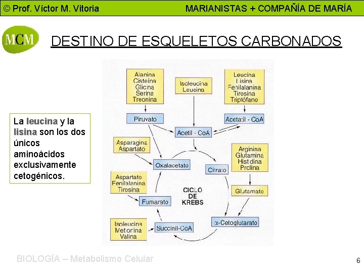 © Prof. Víctor M. Vitoria MARIANISTAS + COMPAÑÍA DE MARÍA DESTINO DE ESQUELETOS CARBONADOS