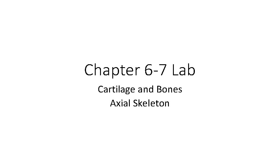 Chapter 6 -7 Lab Cartilage and Bones Axial Skeleton 