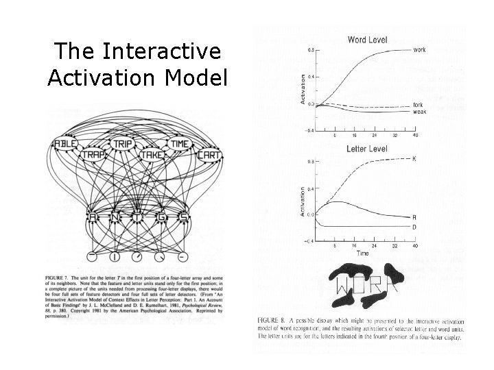 The Interactive Activation Model The Interactive Activation Model