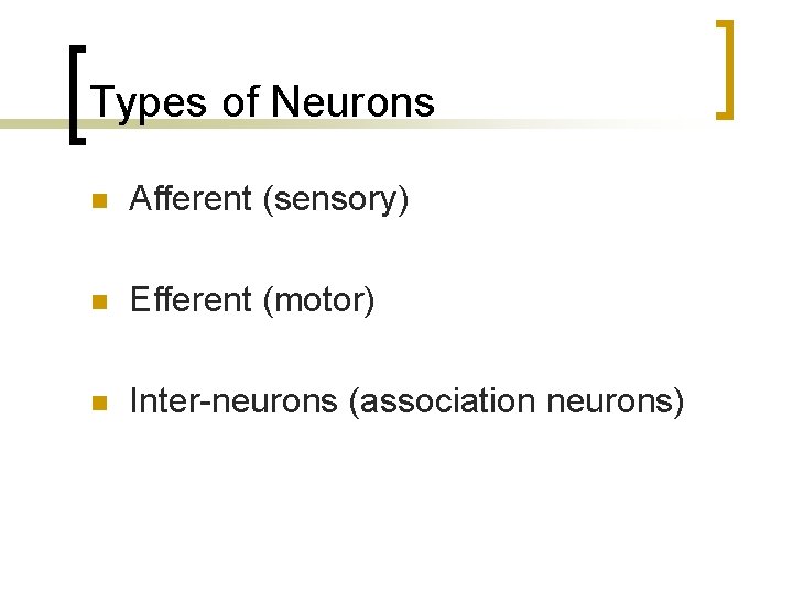 Types of Neurons n Afferent (sensory) n Efferent (motor) n Inter-neurons (association neurons) 