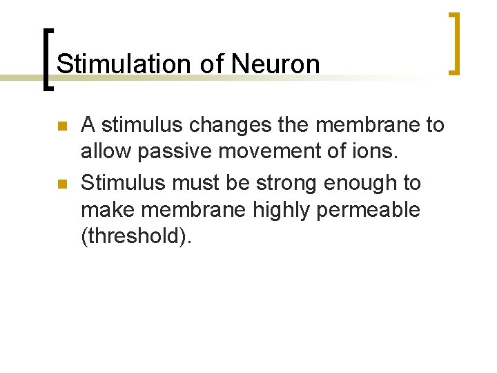 Stimulation of Neuron n n A stimulus changes the membrane to allow passive movement