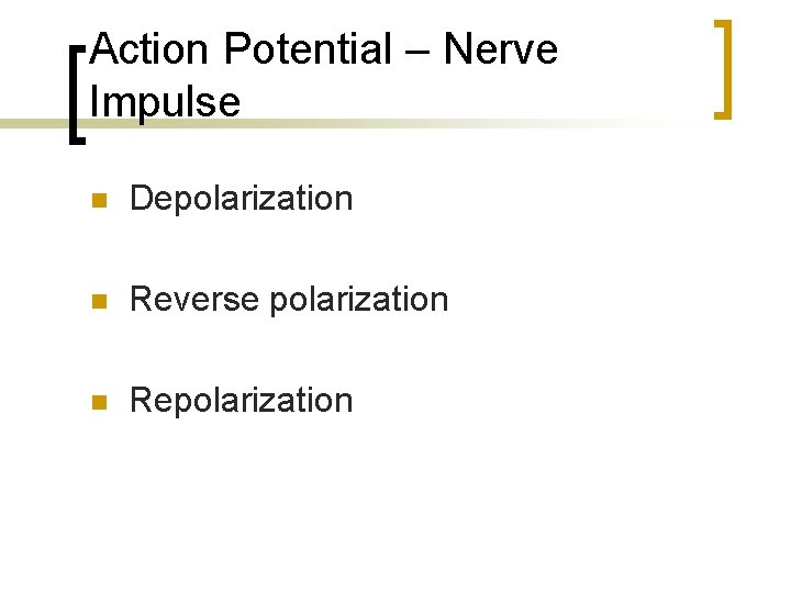 Action Potential – Nerve Impulse n Depolarization n Reverse polarization n Repolarization 