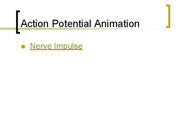 Action Potential Animation n Nerve Impulse 