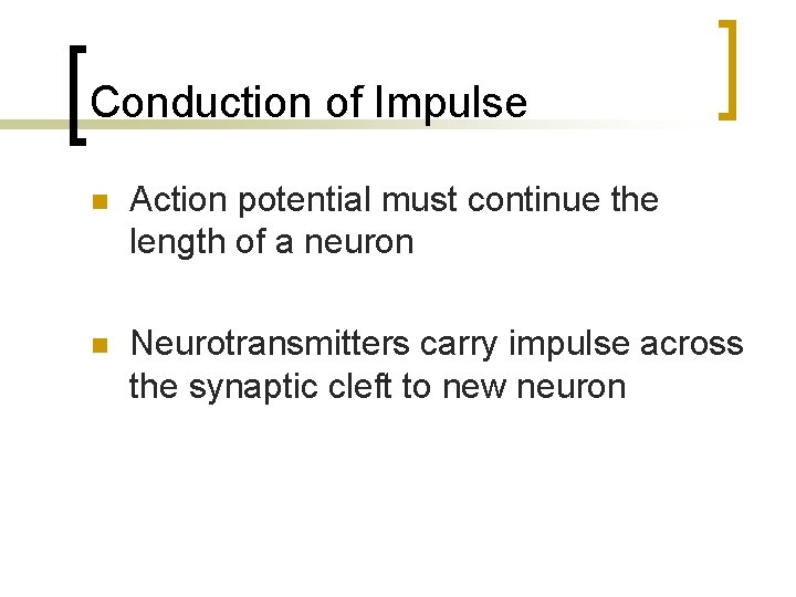 Conduction of Impulse n Action potential must continue the length of a neuron n