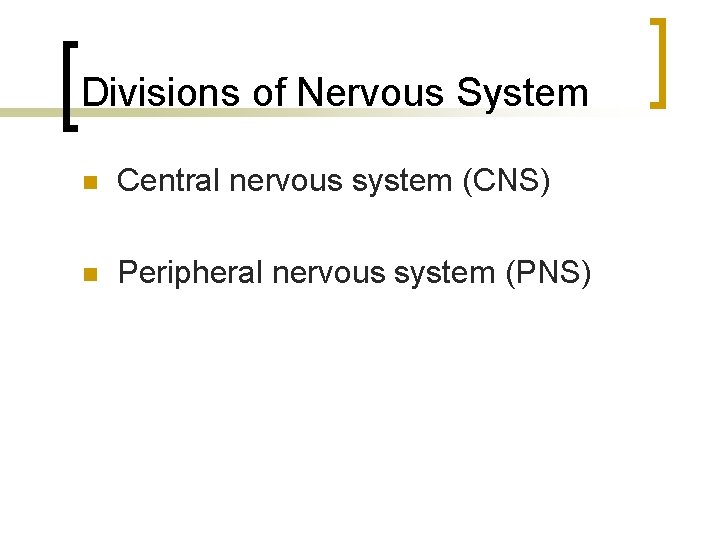 Divisions of Nervous System n Central nervous system (CNS) n Peripheral nervous system (PNS)