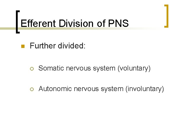 Efferent Division of PNS n Further divided: ¡ Somatic nervous system (voluntary) ¡ Autonomic