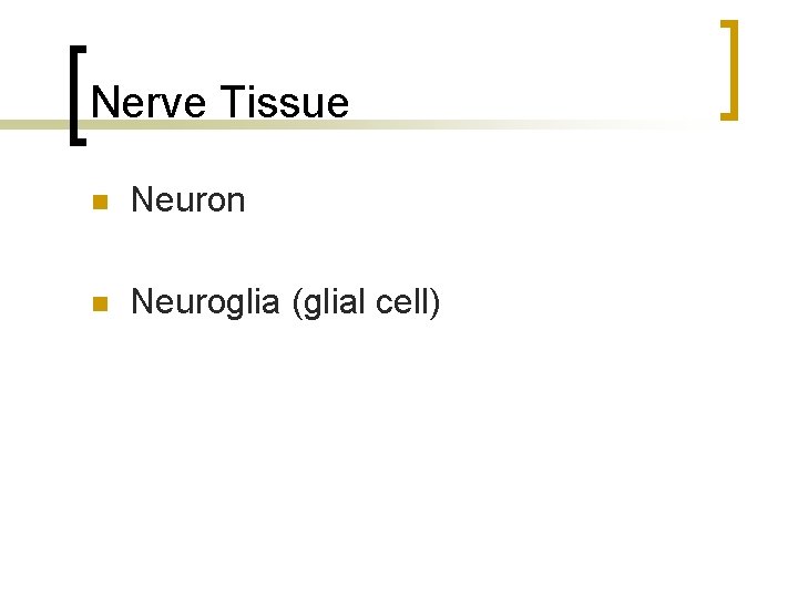 Nerve Tissue n Neuron n Neuroglia (glial cell) 