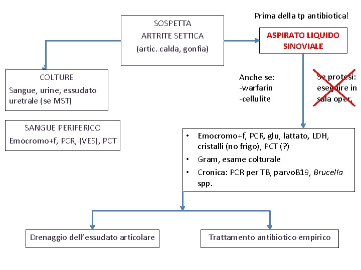 SOSPETTA ARTRITE SETTICA (artic. calda, gonfia) COLTURE Sangue, urine, essudato uretrale (se MST) SANGUE