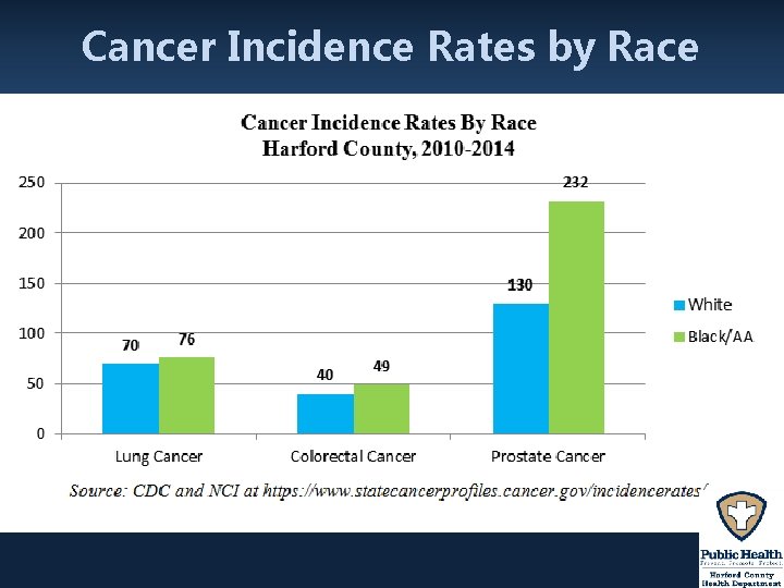 Cancer Incidence Rates by Race 