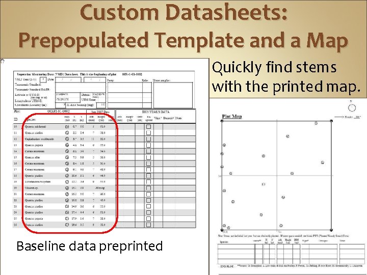 Custom Datasheets: Prepopulated Template and a Map Quickly find stems with the printed map.