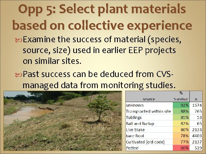 Opp 5: Select plant materials based on collective experience Examine the success of material