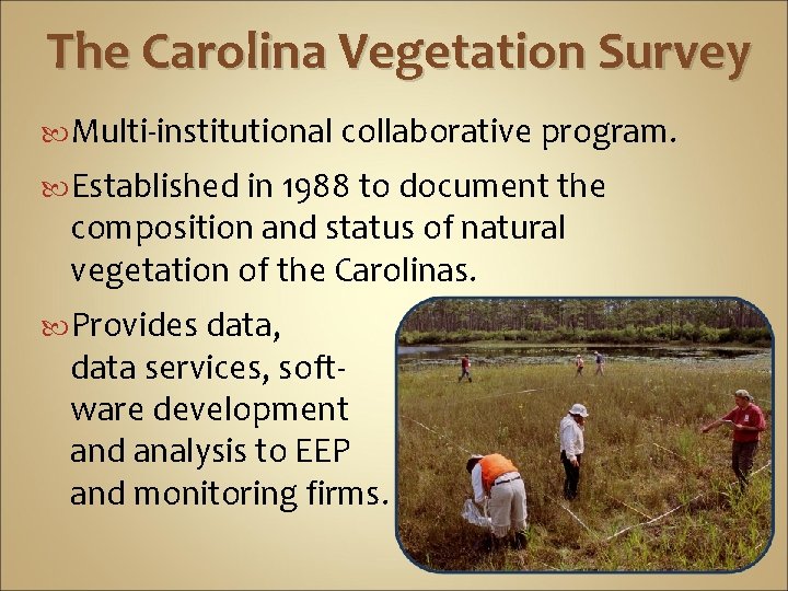 The Carolina Vegetation Survey Multi-institutional collaborative program. Established in 1988 to document the composition