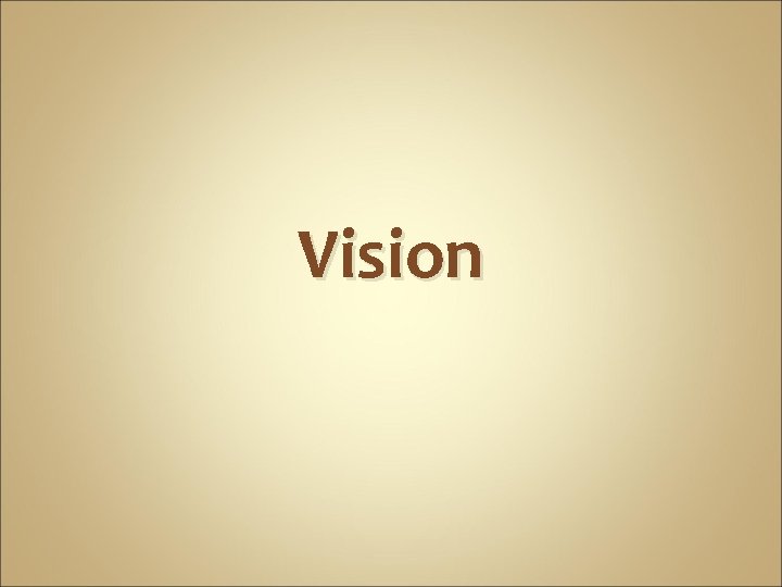 Vision 