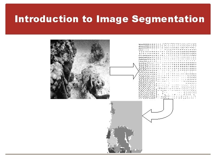 Introduction to Image Segmentation 