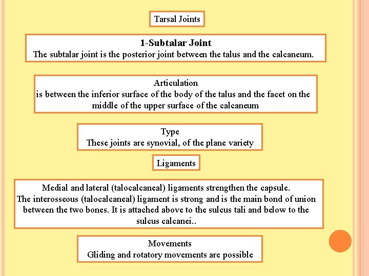 Tarsal Joints 1 -Subtalar Joint The subtalar joint is the posterior joint between the