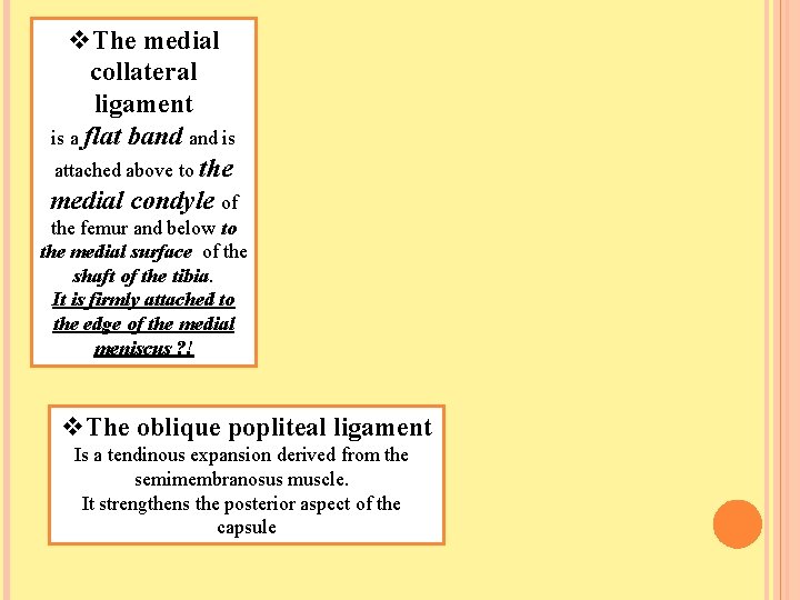 v. The medial collateral ligament is a flat band is attached above to the