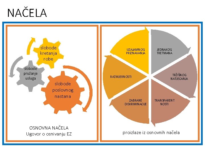 NAČELA slobode kretanja robe slobode pružanje usluga UZAJAMNOG PRIZNAVANJA RAZMJERNOSTI slobode poslovnog nastana OSNOVNA
