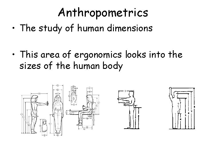 Anthropometrics • The study of human dimensions • This area of ergonomics looks into