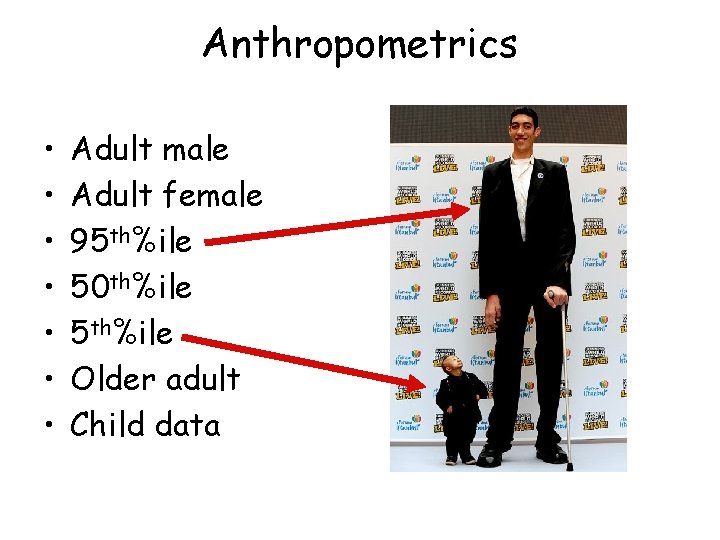 Anthropometrics • • Adult male Adult female 95 th%ile 50 th%ile 5 th%ile Older