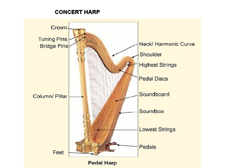 CONCERT HARP 