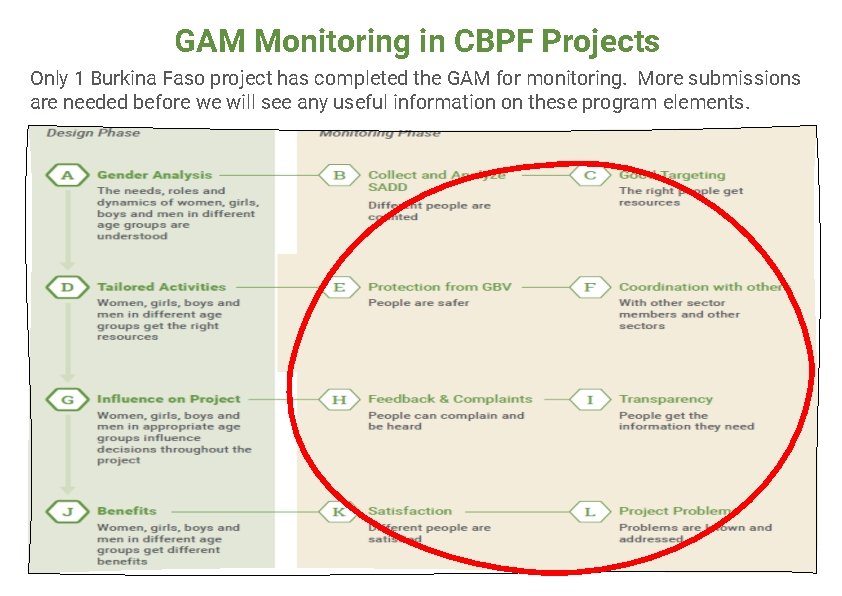 GAM Monitoring in CBPF Projects Only 1 Burkina Faso project has completed the GAM