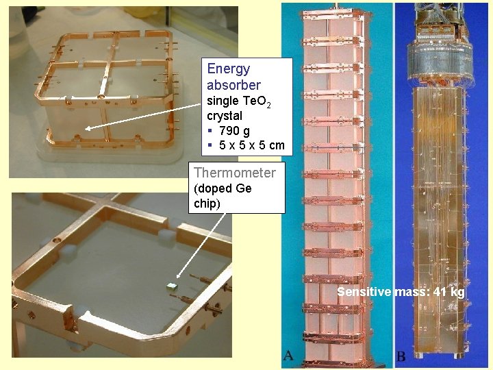 Energy absorber single Te. O 2 crystal § 790 g § 5 x 5