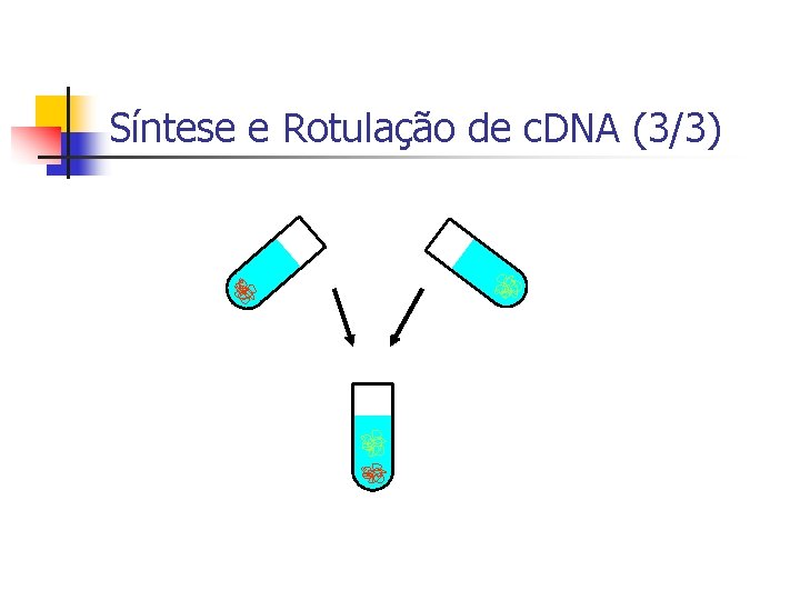 Síntese e Rotulação de c. DNA (3/3) 