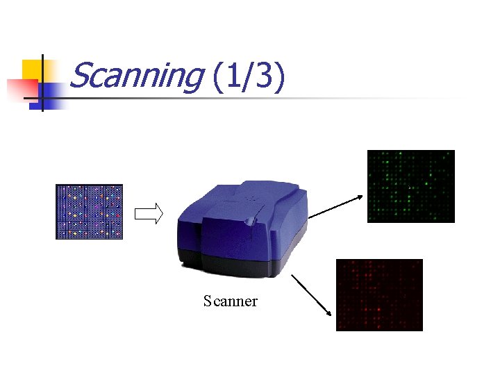 Scanning (1/3) Scanner 