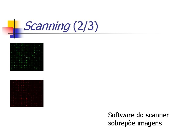 Scanning (2/3) Software do scanner sobrepõe imagens 