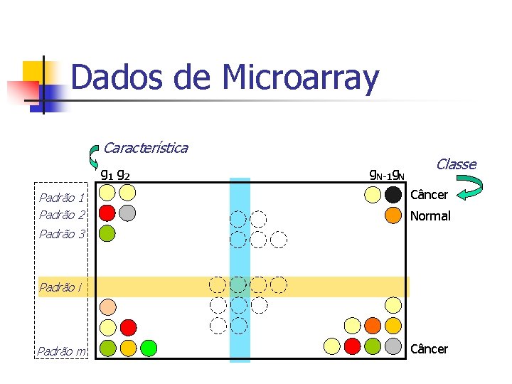Dados de Microarray Característica g 1 g 2 Padrão 1 Padrão 2 g. N-1