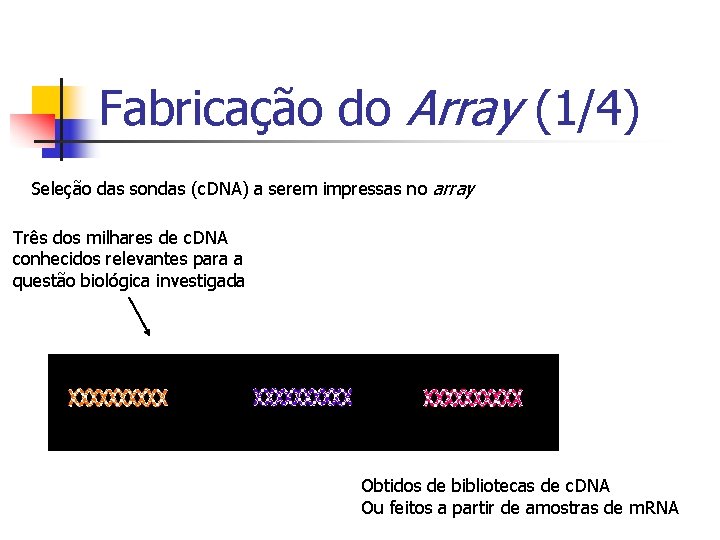 Fabricação do Array (1/4) Seleção das sondas (c. DNA) a serem impressas no array