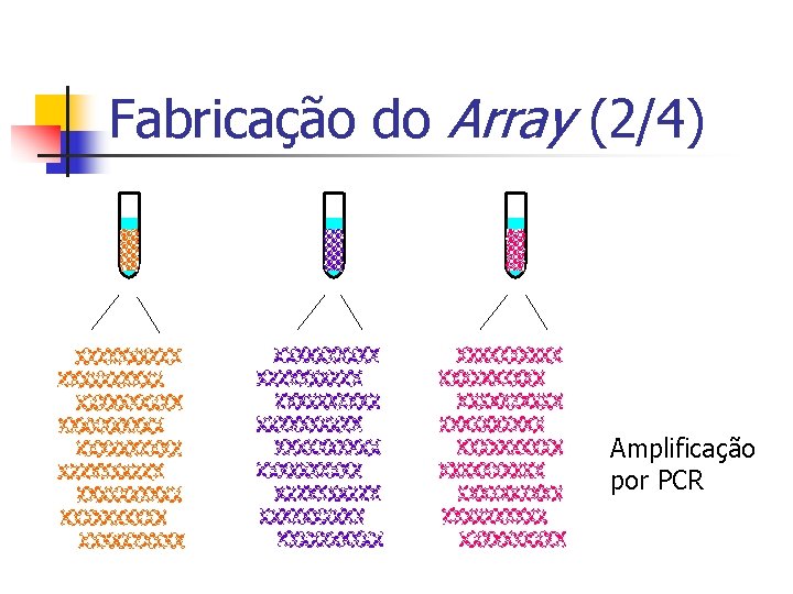Fabricação do Array (2/4) Amplificação por PCR 