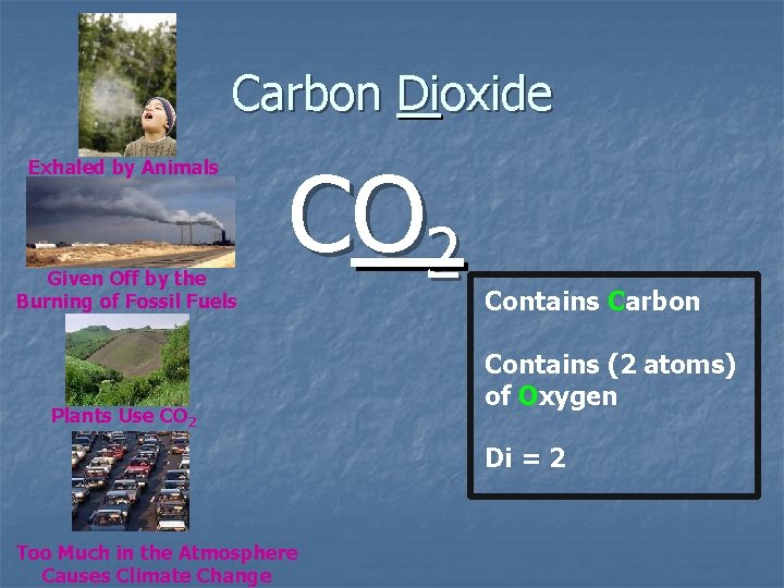 Carbon Dioxide Exhaled by Animals Given Off by the Burning of Fossil Fuels CO