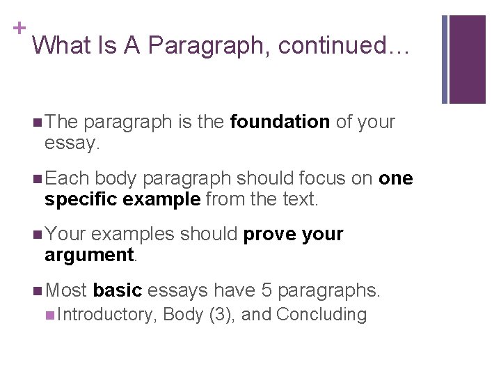 + What Is A Paragraph, continued… n The paragraph is the foundation of your