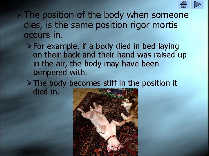 Ø The position of the body when someone dies, is the same position rigor