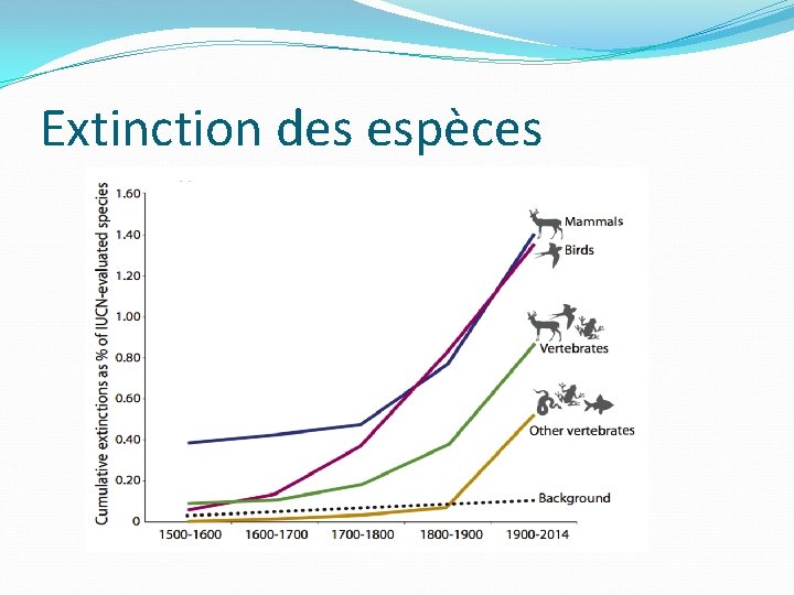 Extinction des espèces 